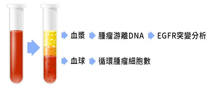 抽血8~10ml即可檢測